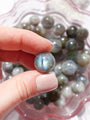 Labradorite Mini Sphere - Premium healing crystal from Stones of Virtue Australia.
