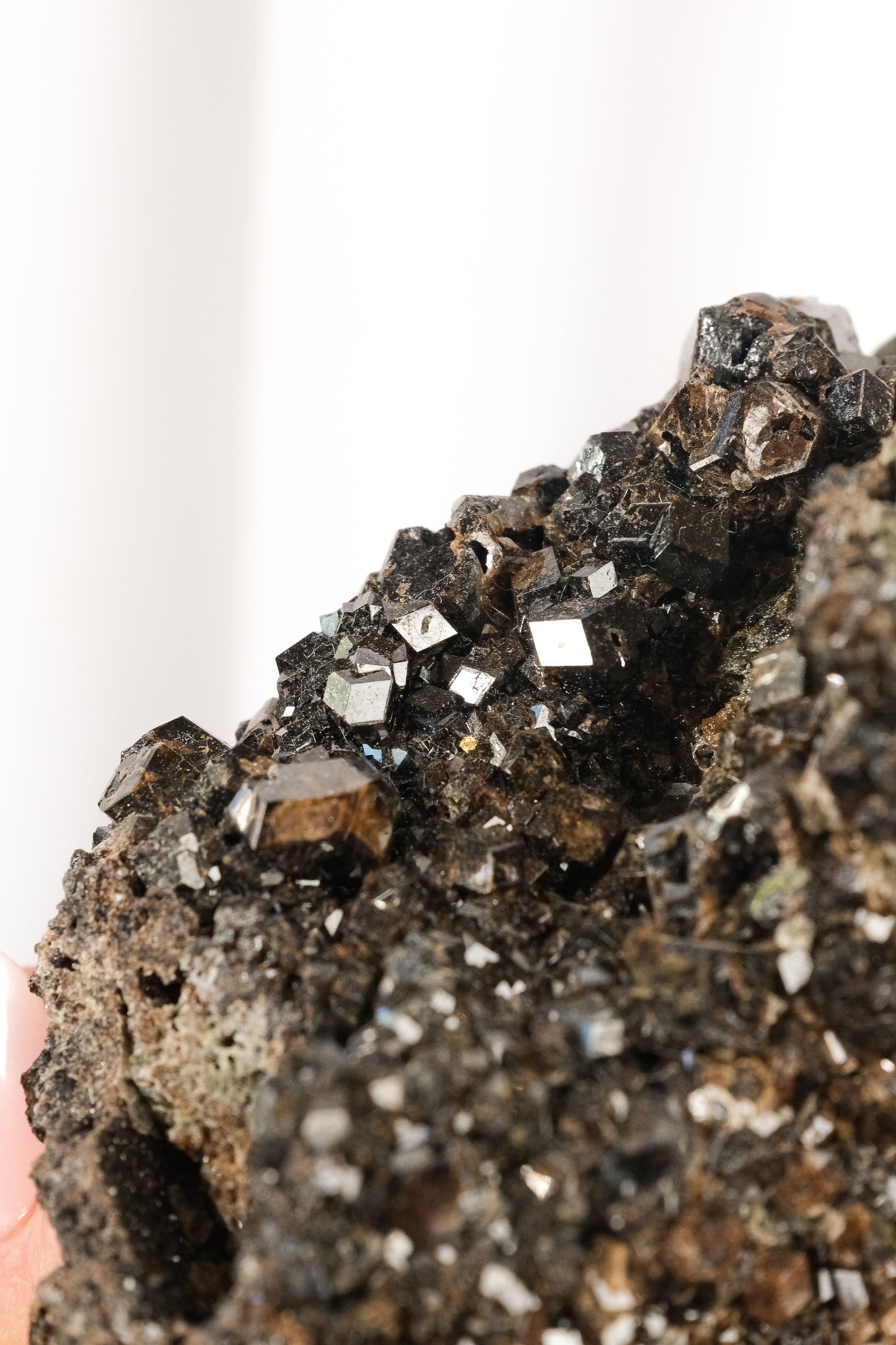 Melanite Garnet Cluster