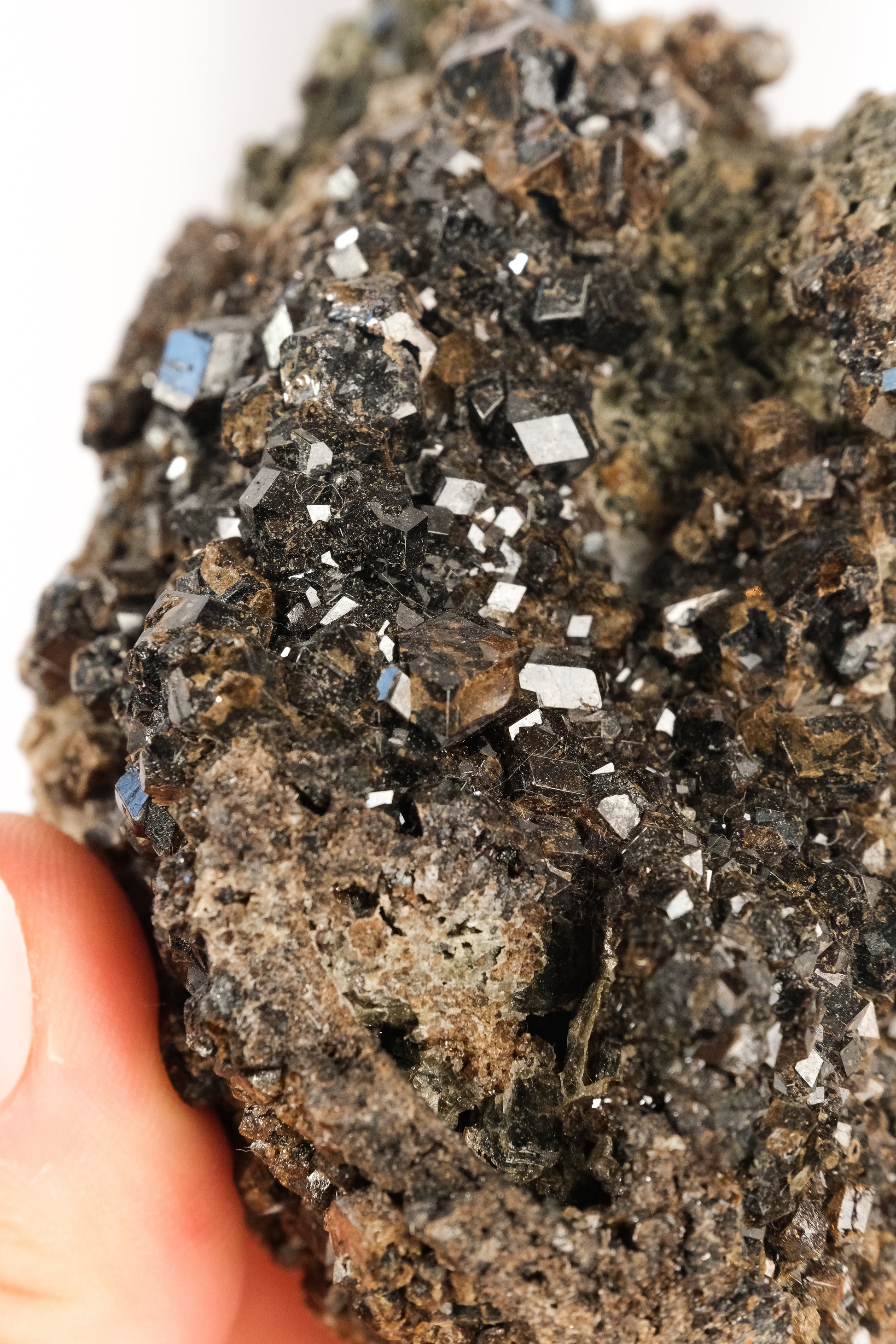 Melanite Garnet Cluster