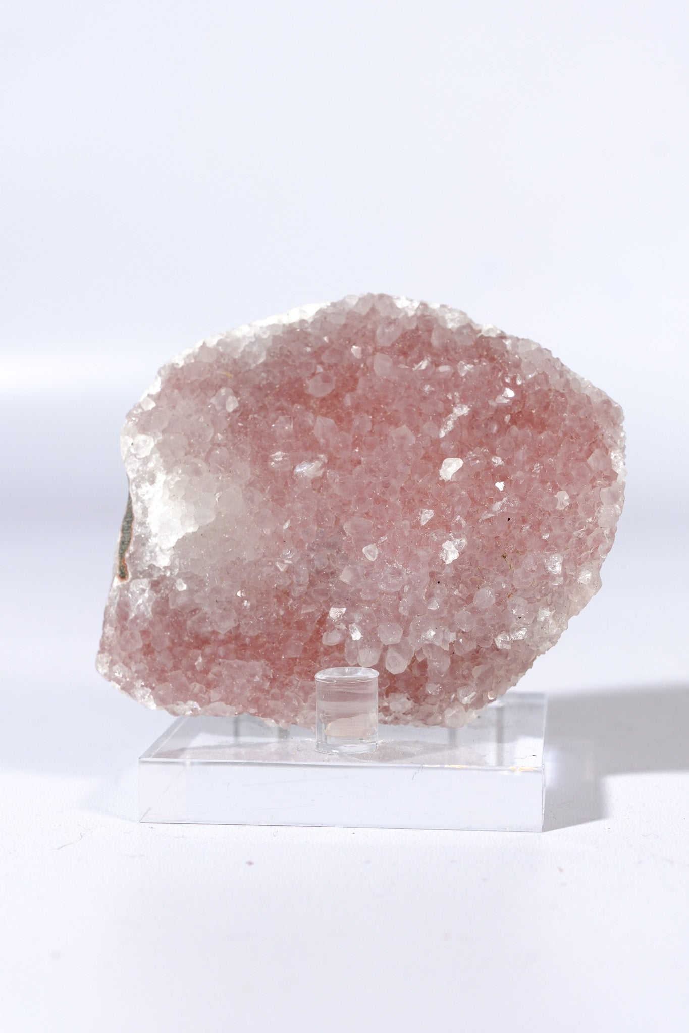 Acrylic Specimen Display Stand