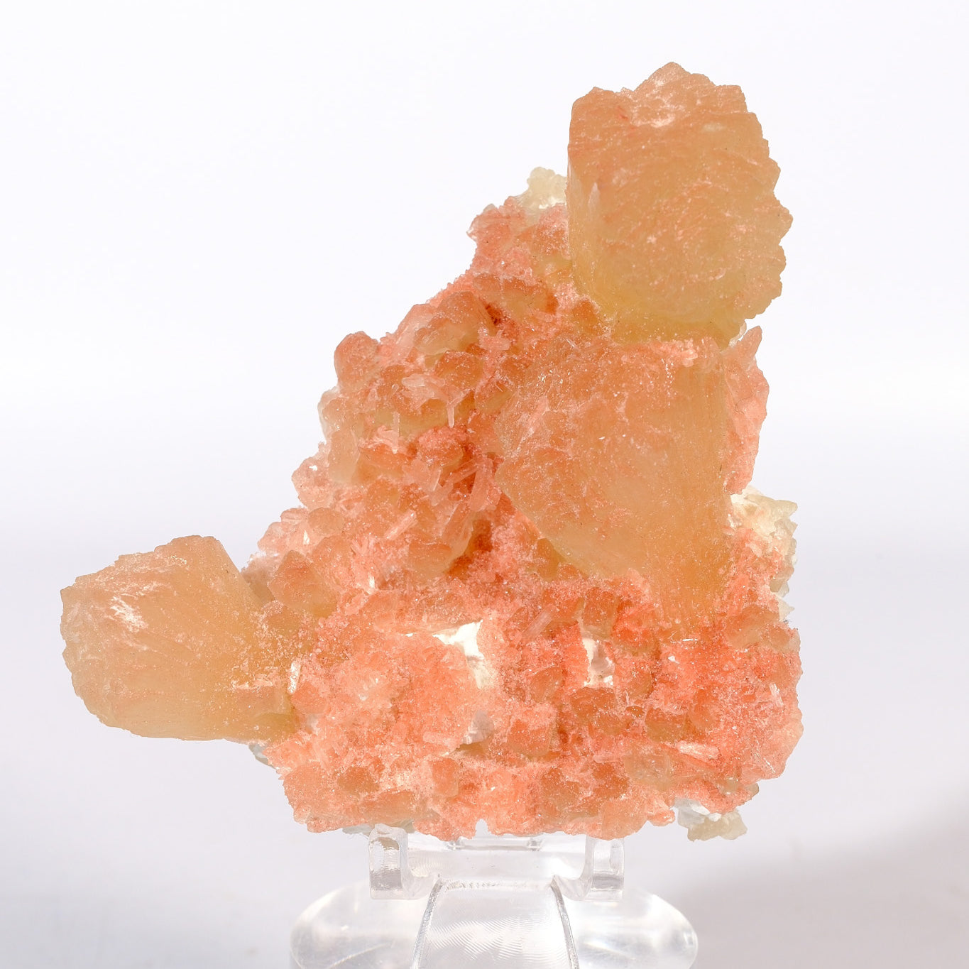 Hematite Coated Apophyllite on Stilbite Cluster