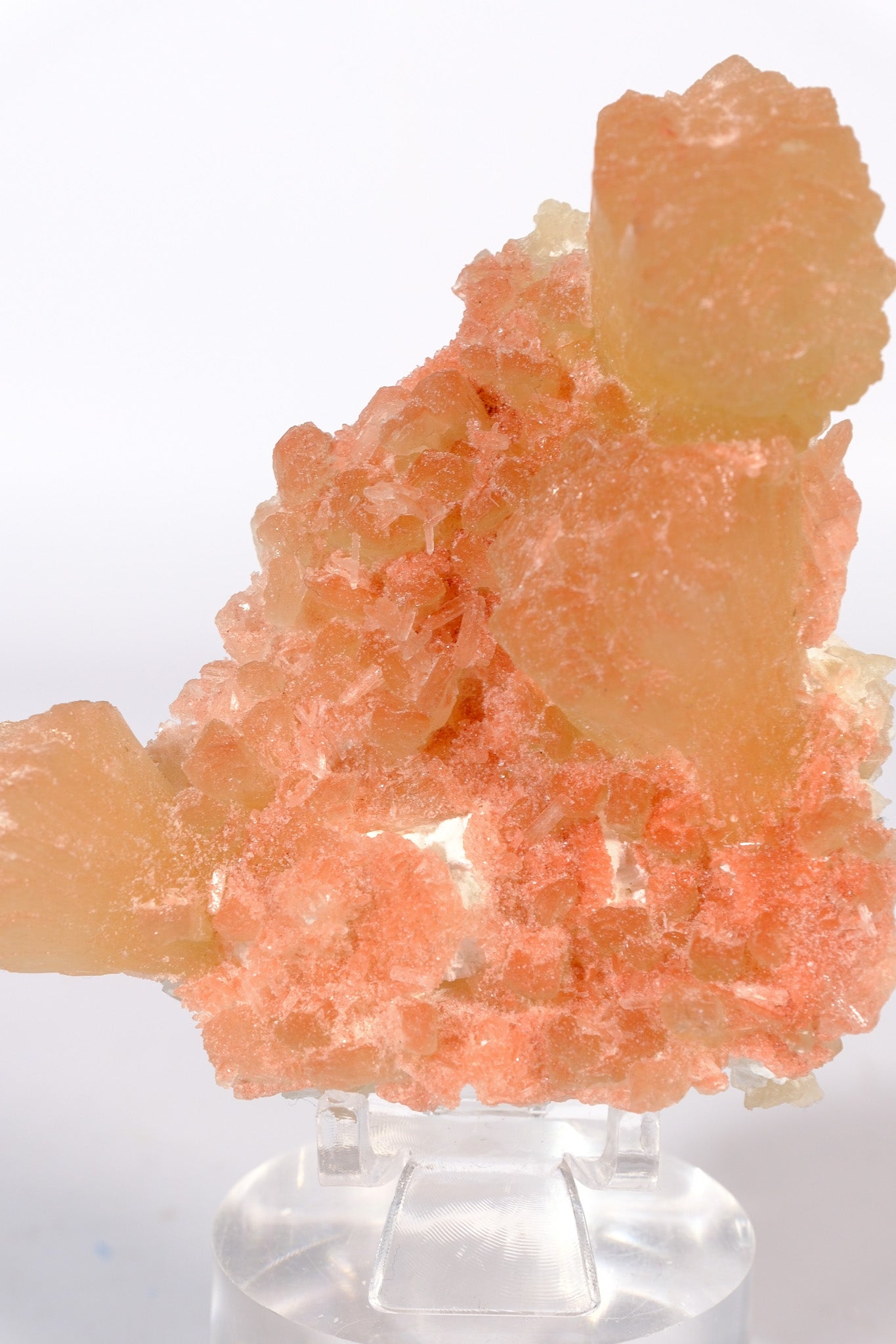 Hematite Coated Apophyllite on Stilbite Cluster