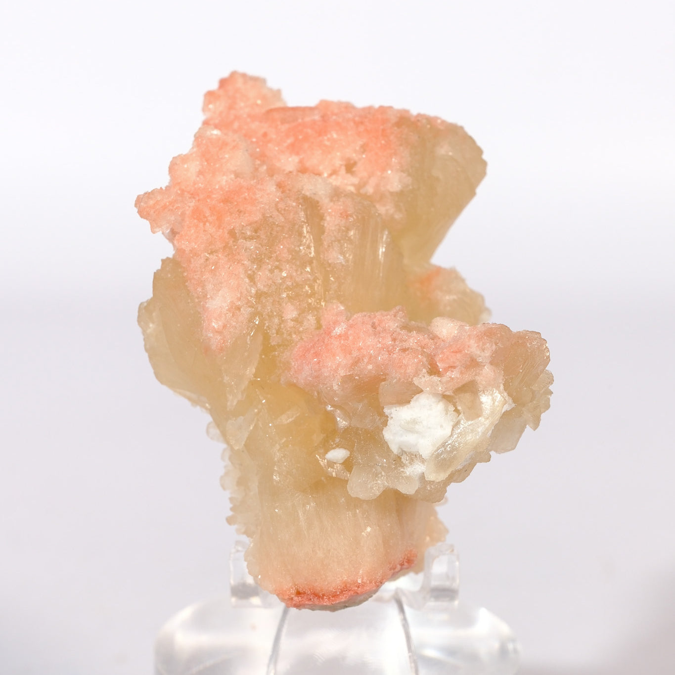 Hematite Coated Apophyllite on Stilbite Cluster