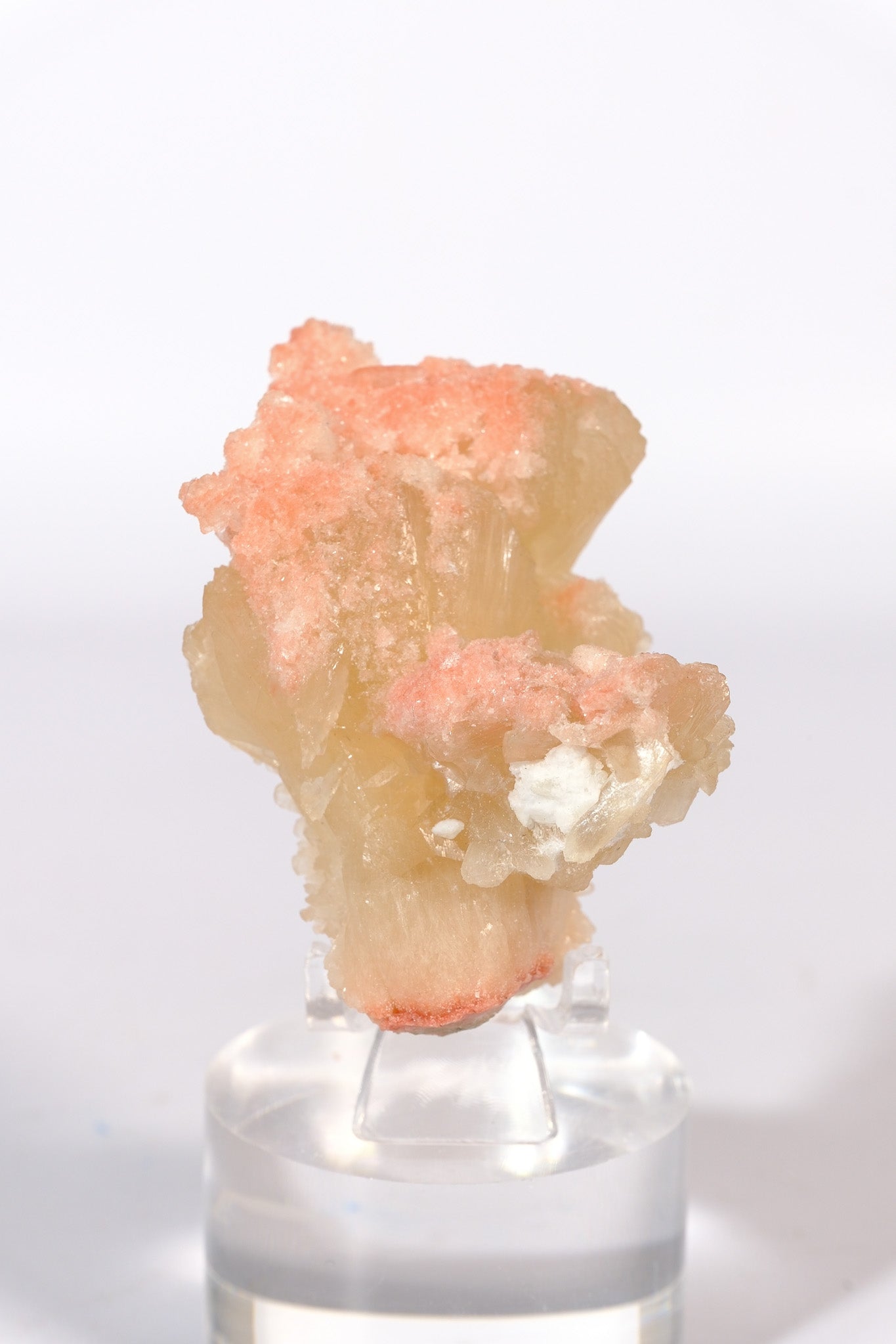 Hematite Coated Apophyllite on Stilbite Cluster