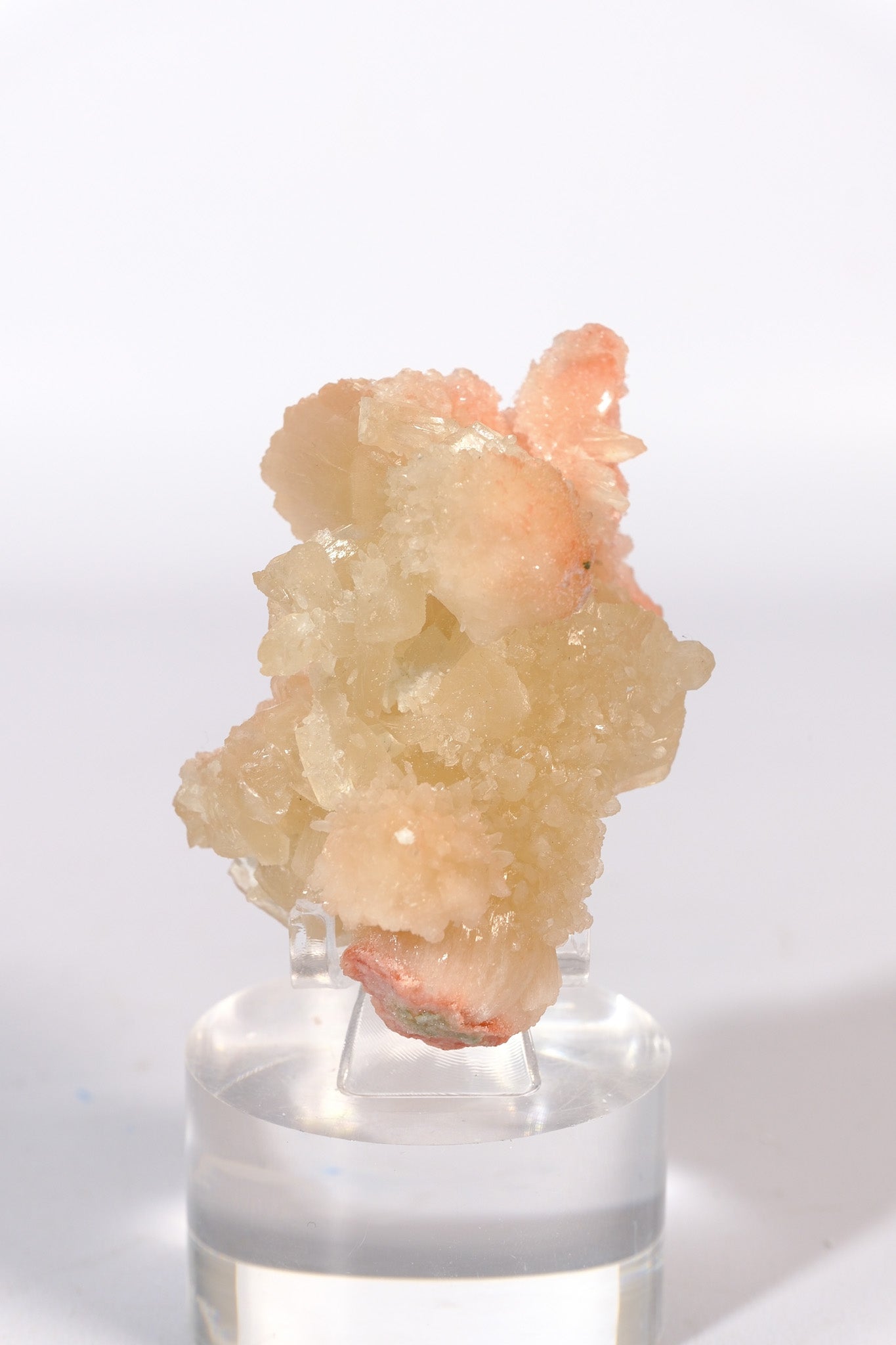 Hematite Coated Apophyllite on Stilbite Cluster