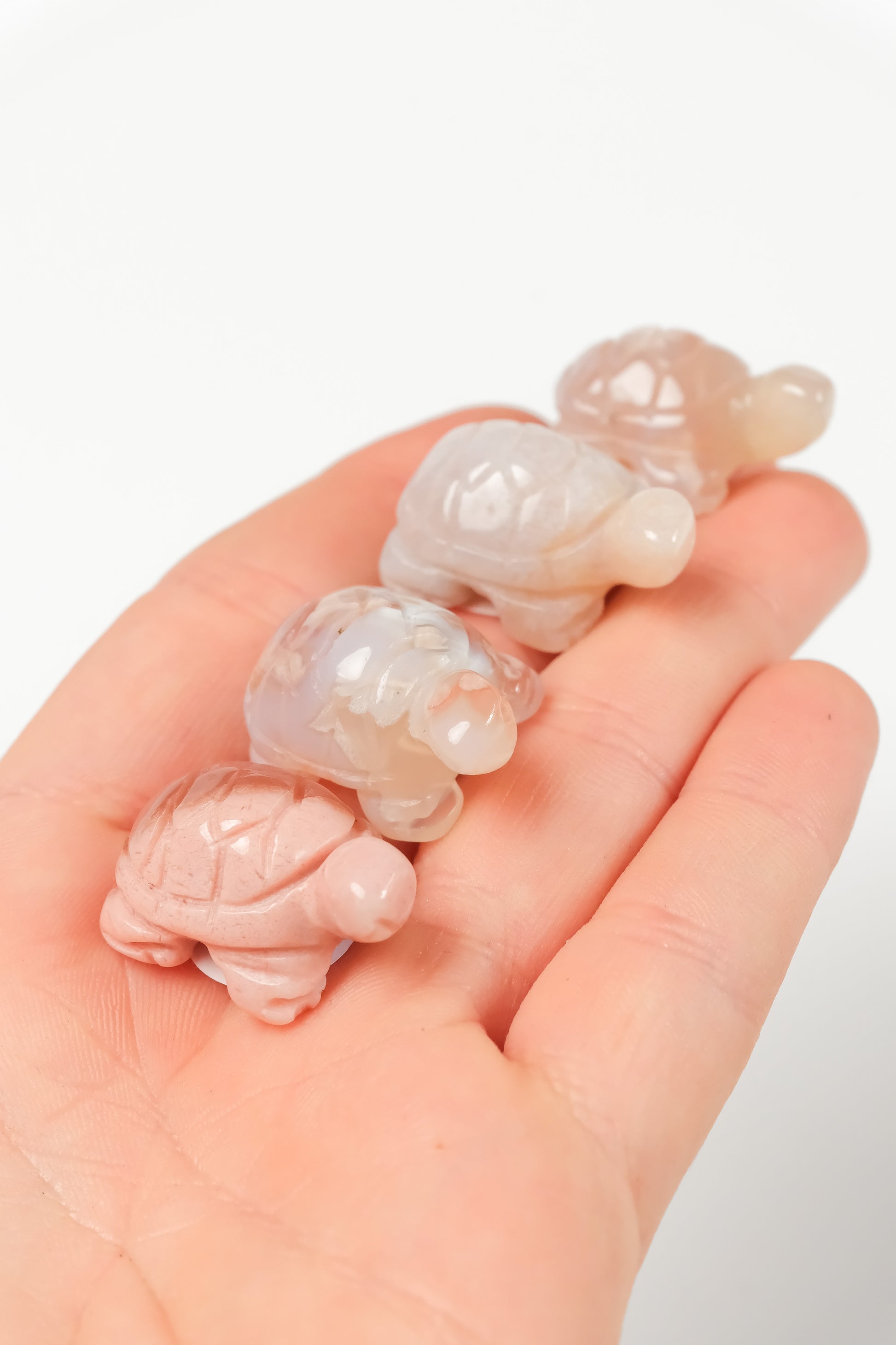 Flower Agate Turtle