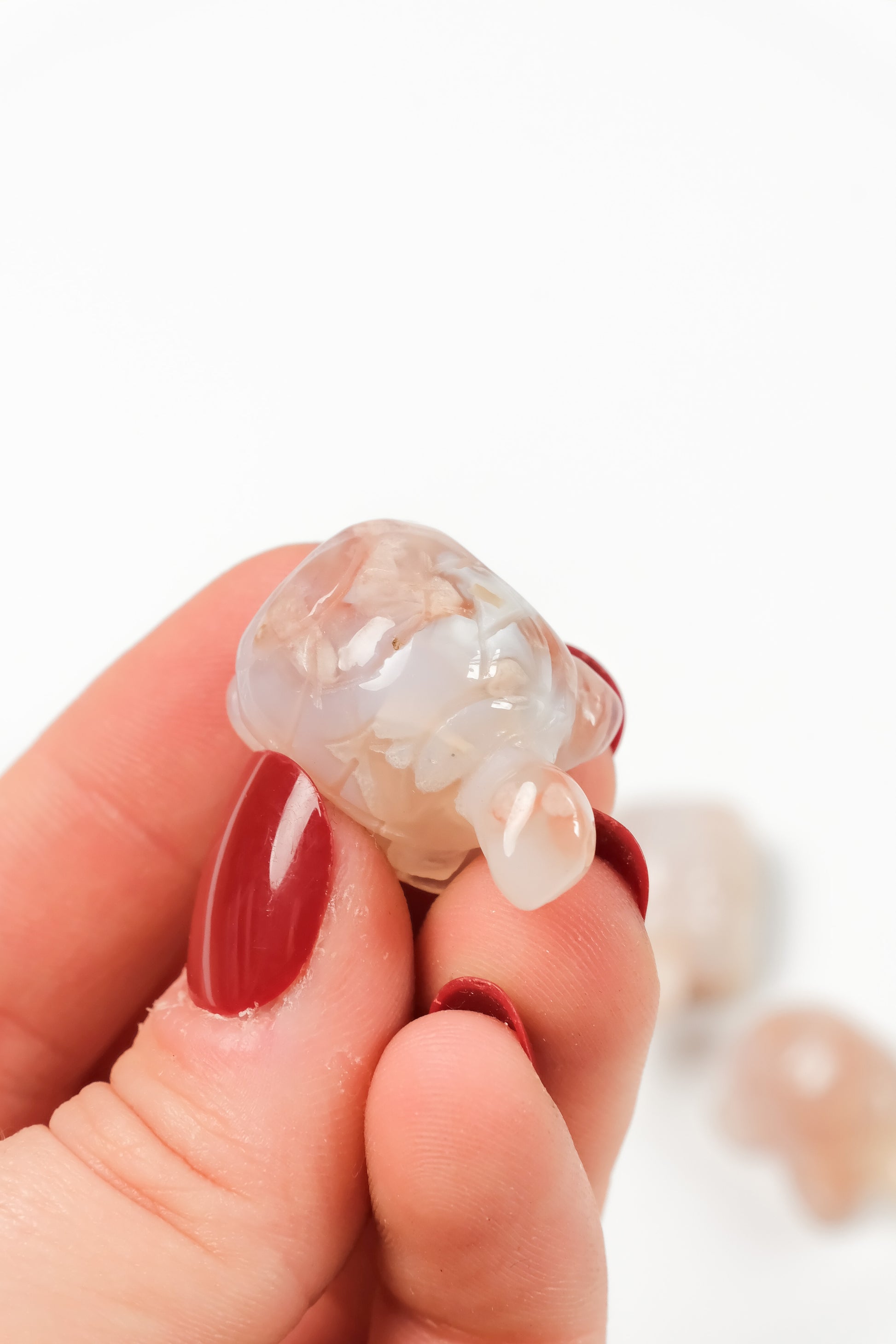 Flower Agate Turtle