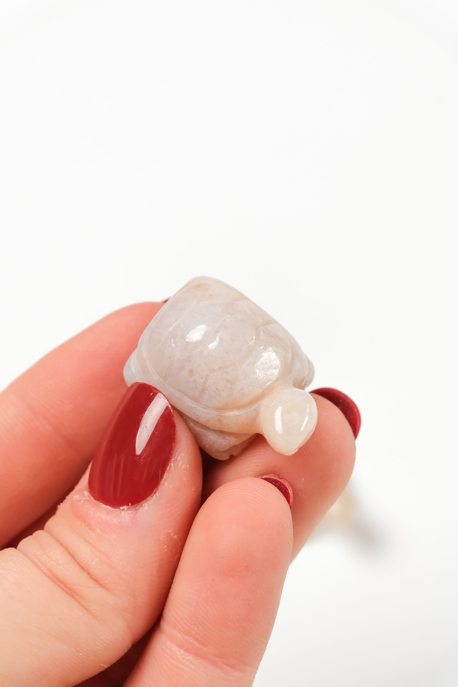 Flower Agate Turtle