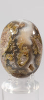 Scenic Moss Agate Palmstone