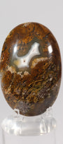 Scenic Moss Agate Palmstone
