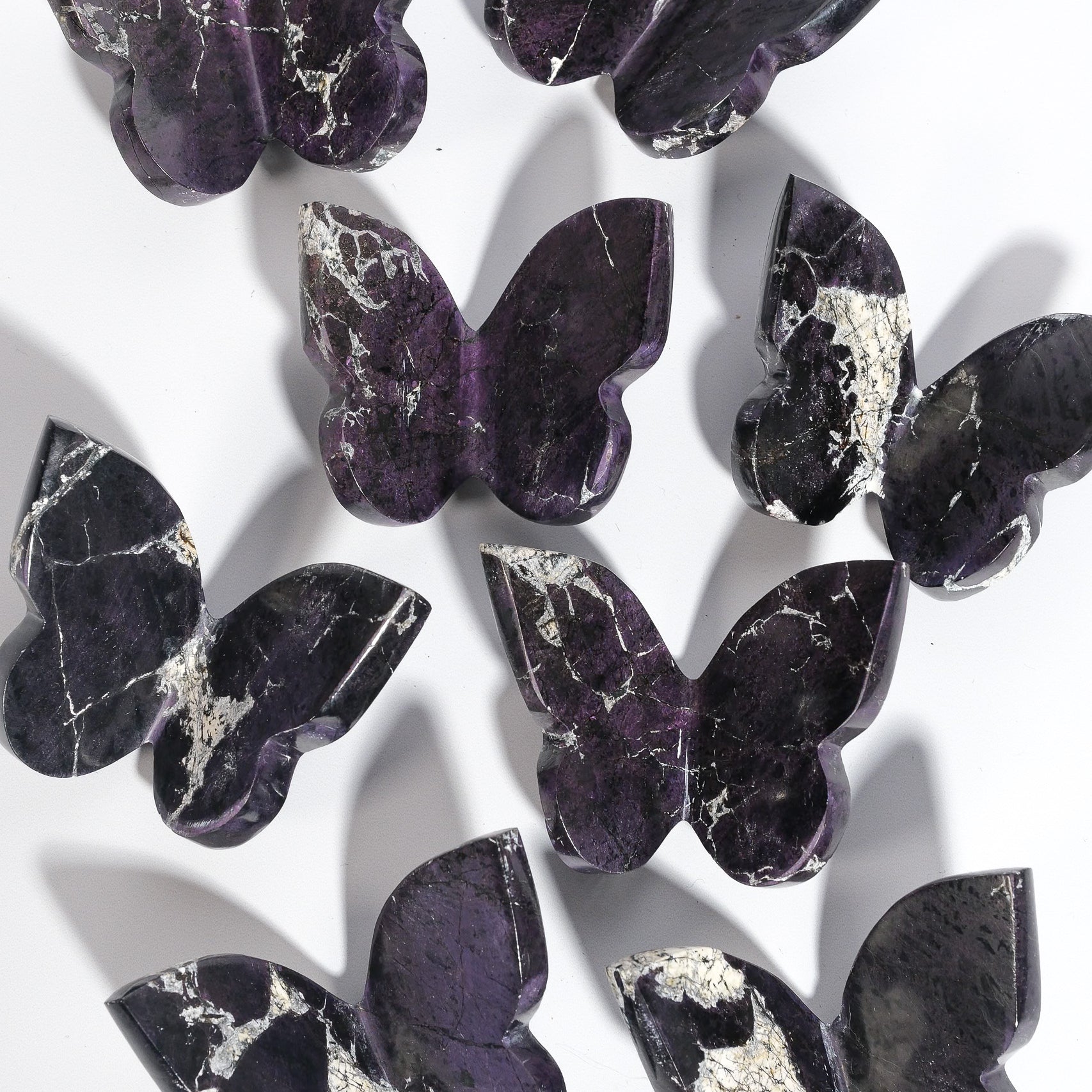 Purpurite Butterfly