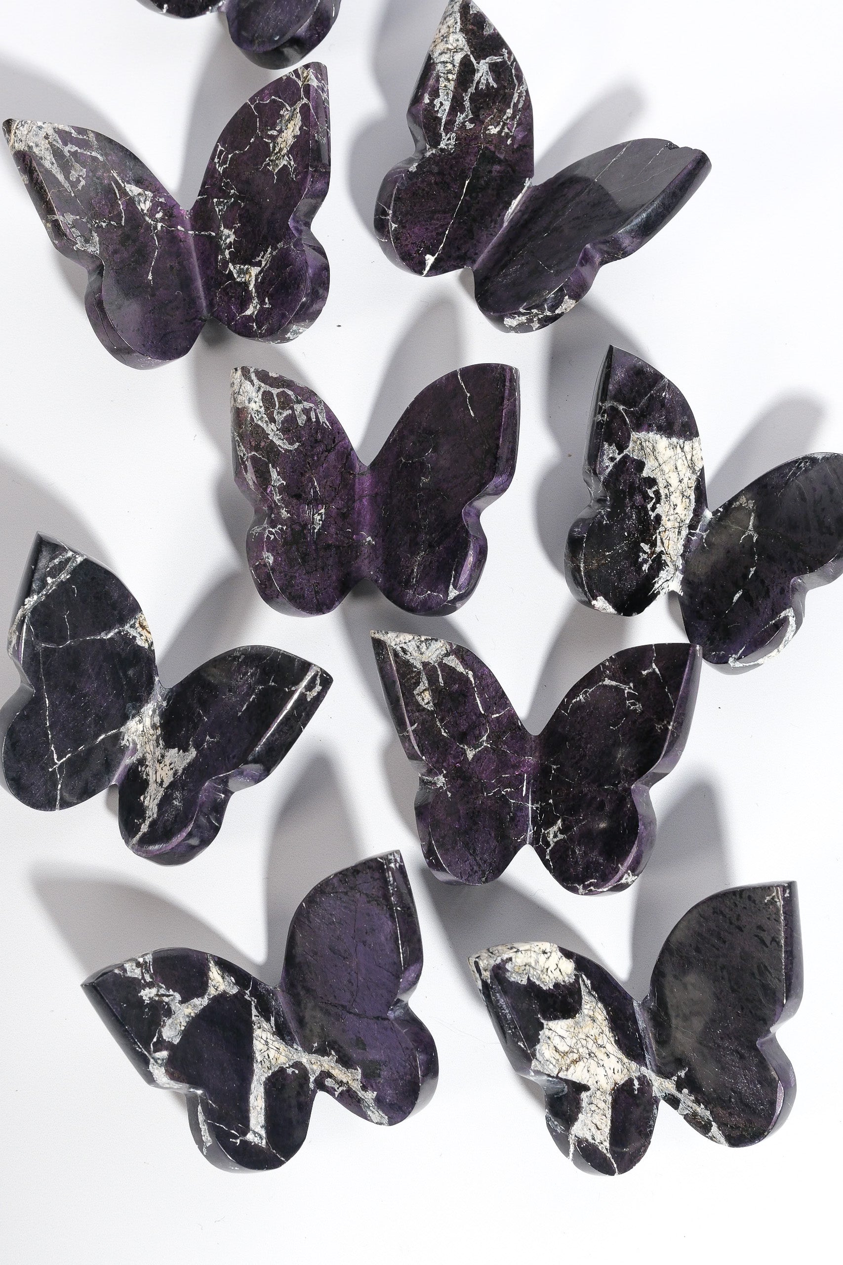 Purpurite Butterfly