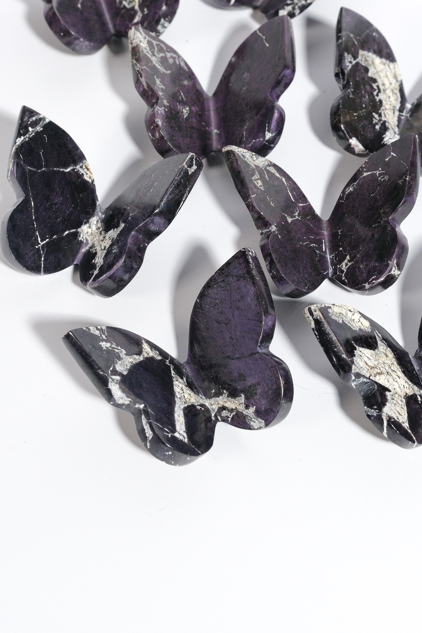 Purpurite Butterfly
