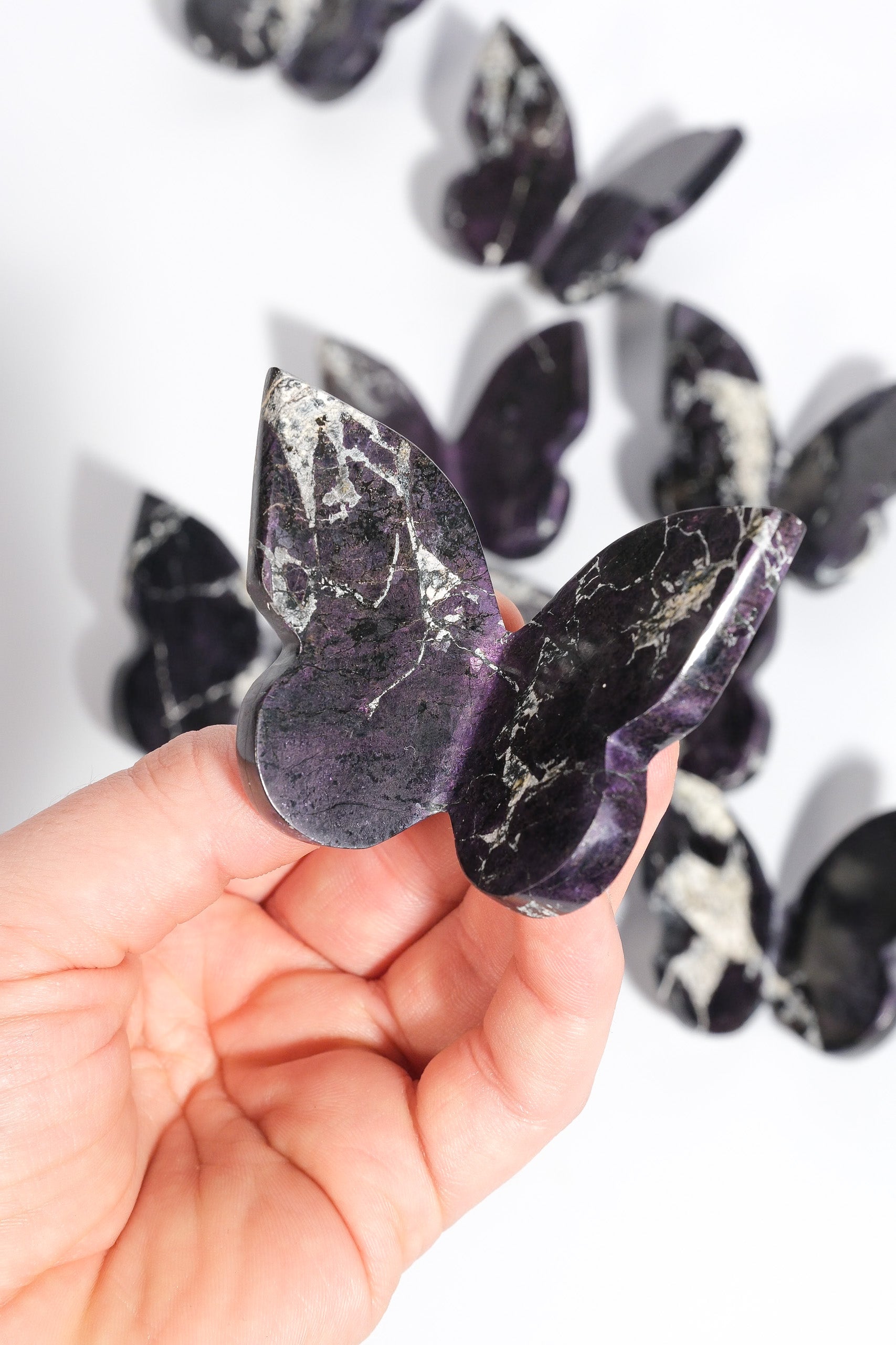 Purpurite Butterfly