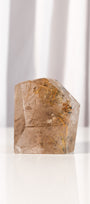 Gold Rutile Smoky Garden Quartz Freeform