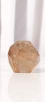 Gold Rutile Smoky Quartz Freeform