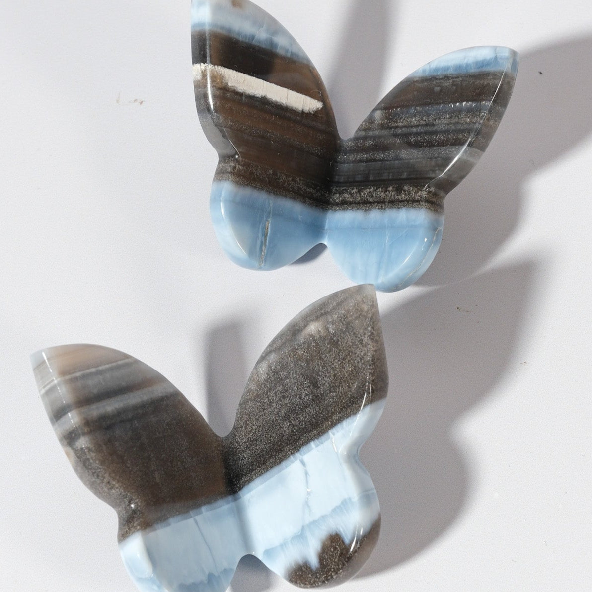 Blue Opal Butterfly