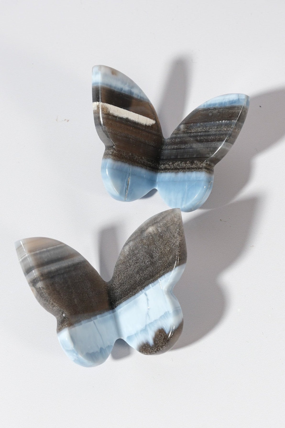 Blue Opal Butterfly