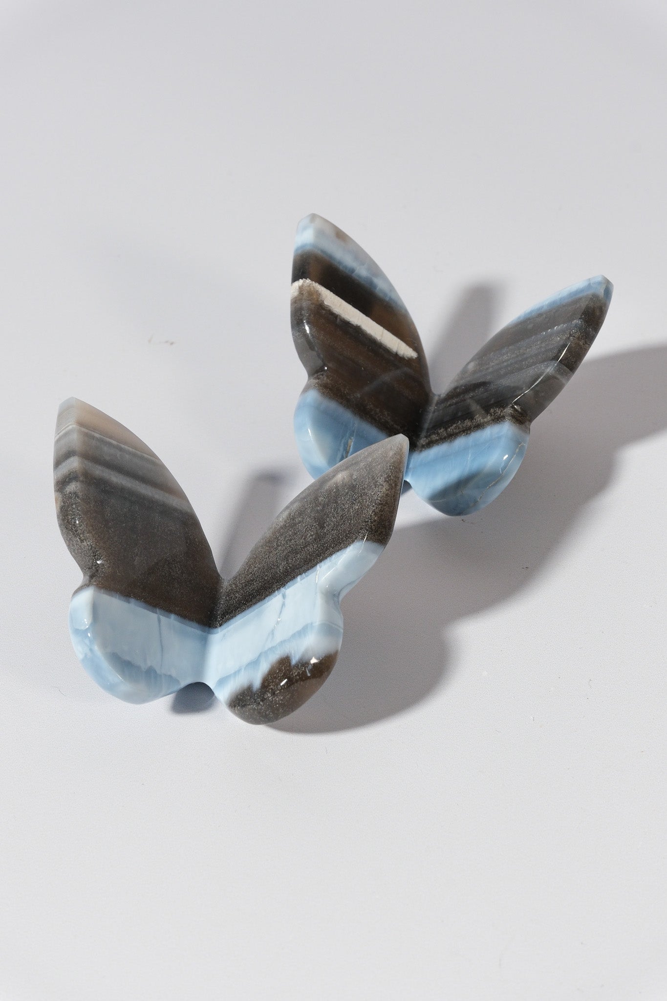 Blue Opal Butterfly