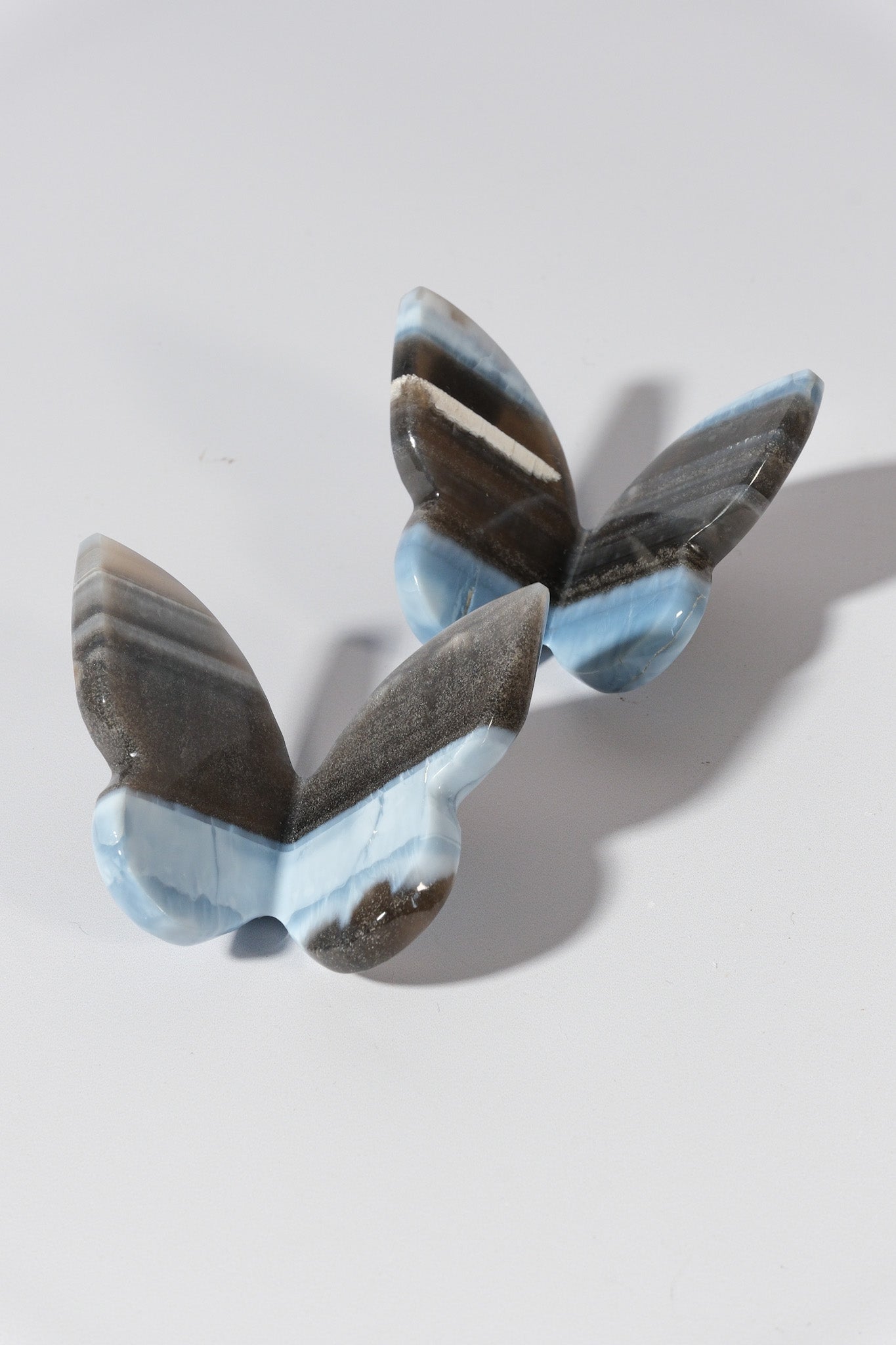 Blue Opal Butterfly