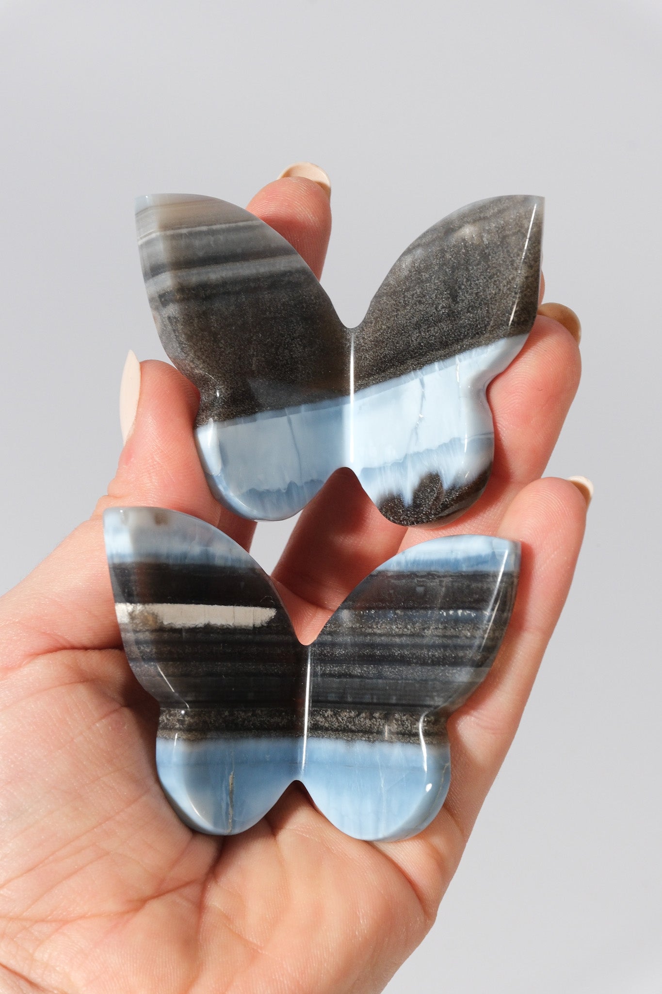 Blue Opal Butterfly