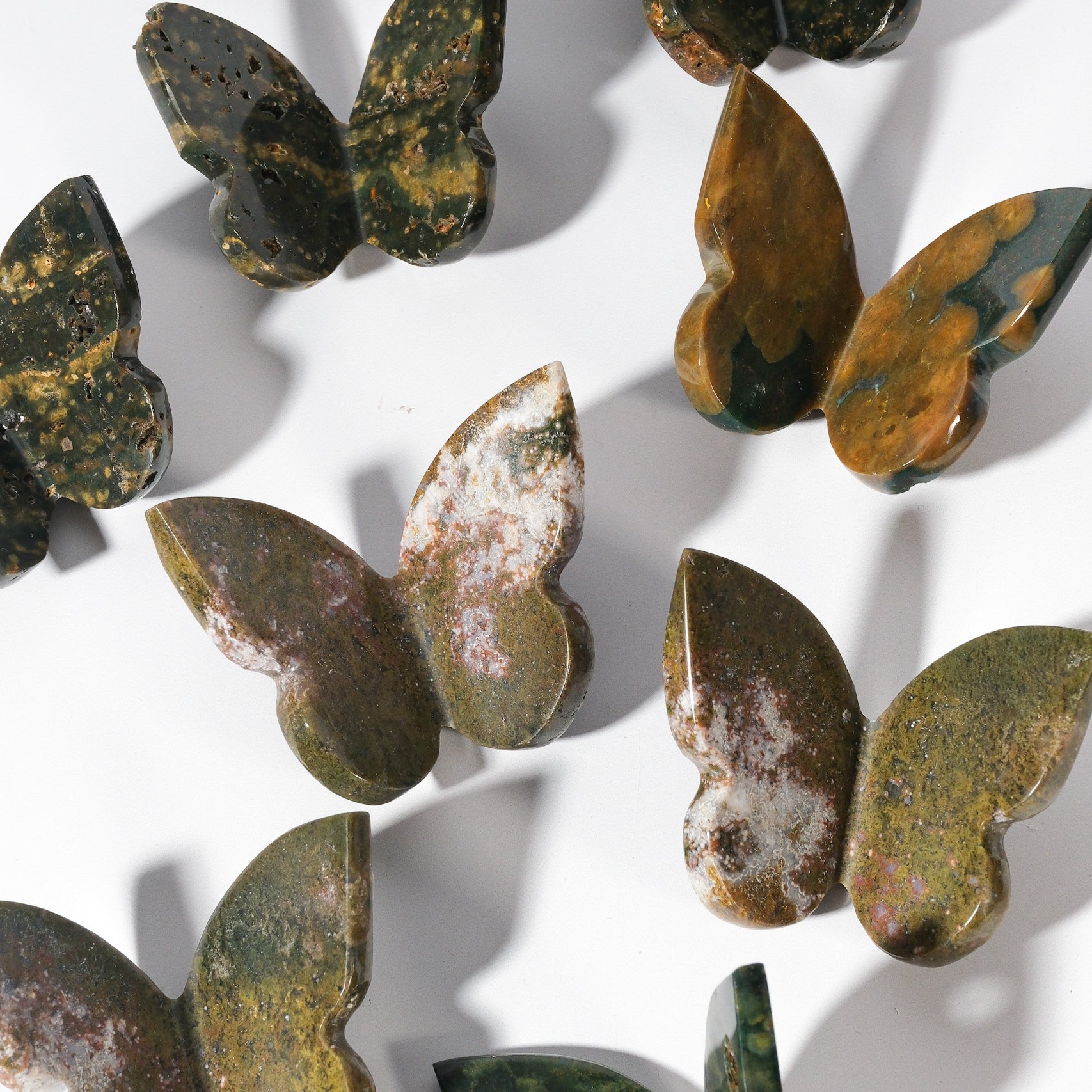 Ocean Jasper Butterfly