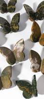 Ocean Jasper Butterfly