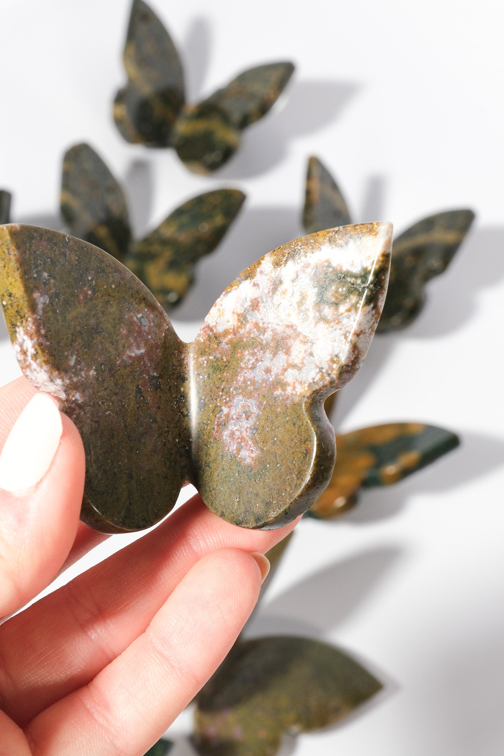 Ocean Jasper Butterfly