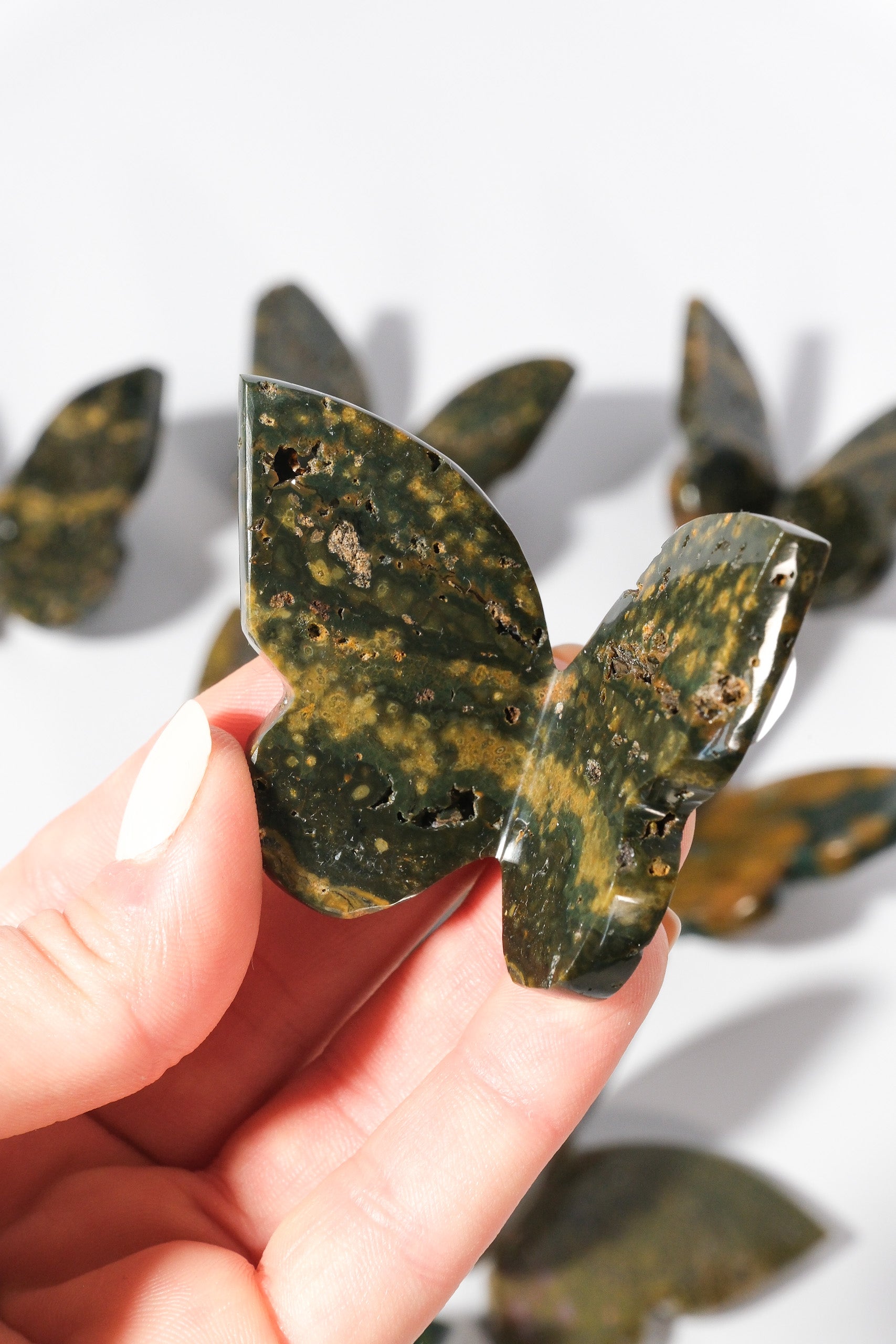 Ocean Jasper Butterfly