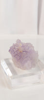 Muzquiz Fluorite Specimen