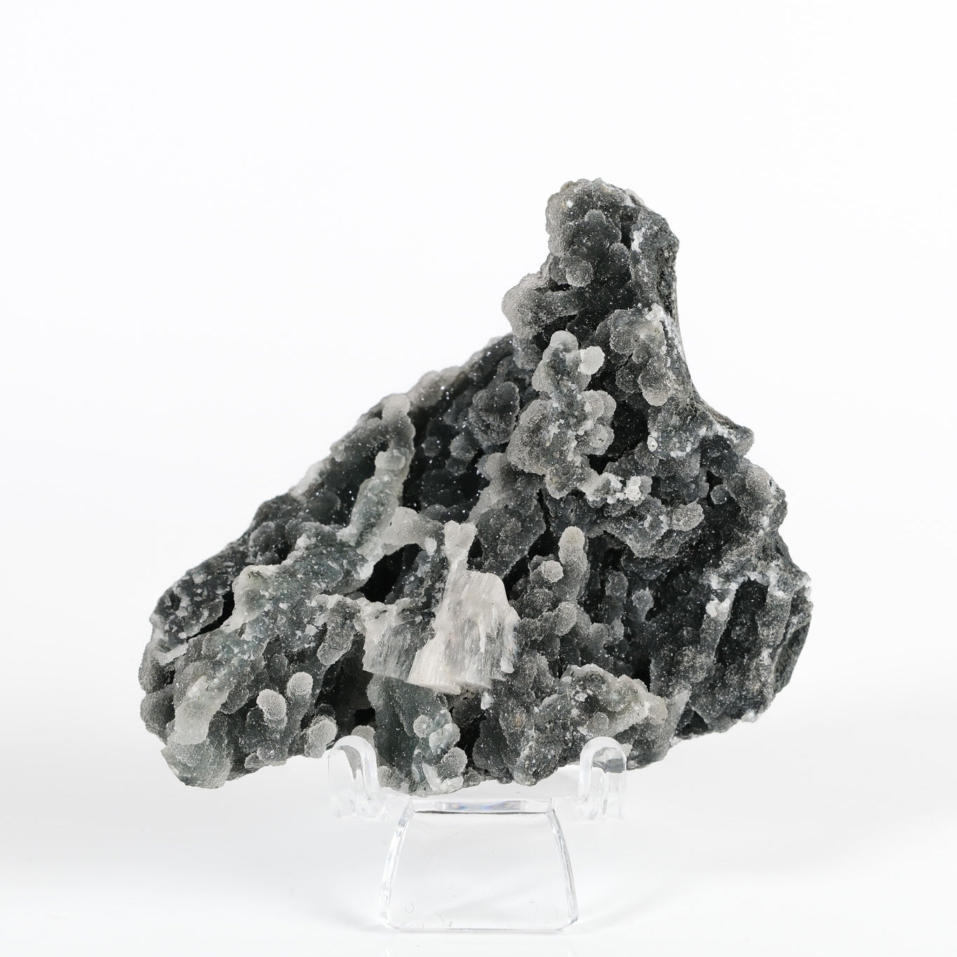 Botryoidal Black Chalcedony Cluster