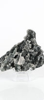 Botryoidal Black Chalcedony Cluster