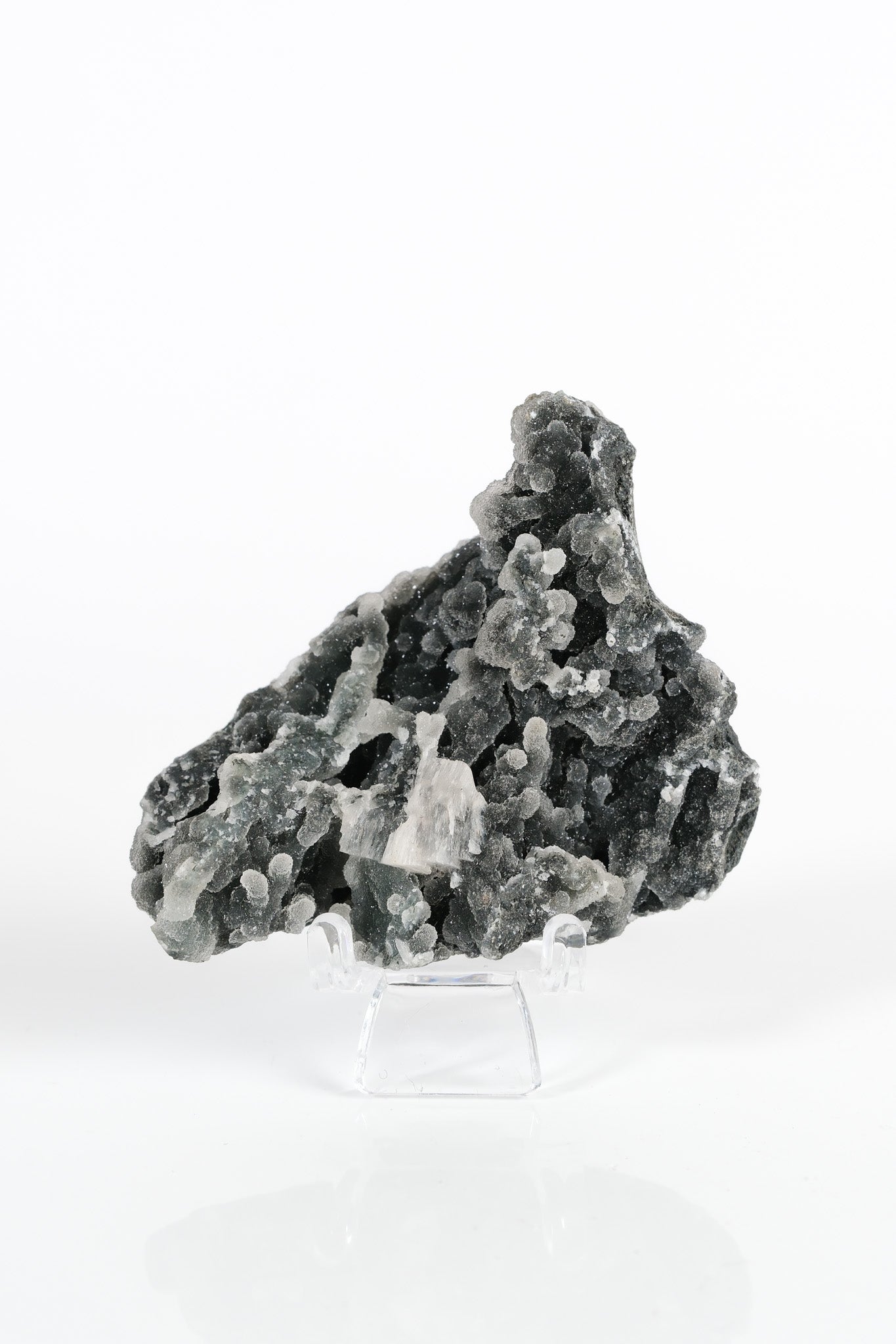 Botryoidal Black Chalcedony Cluster