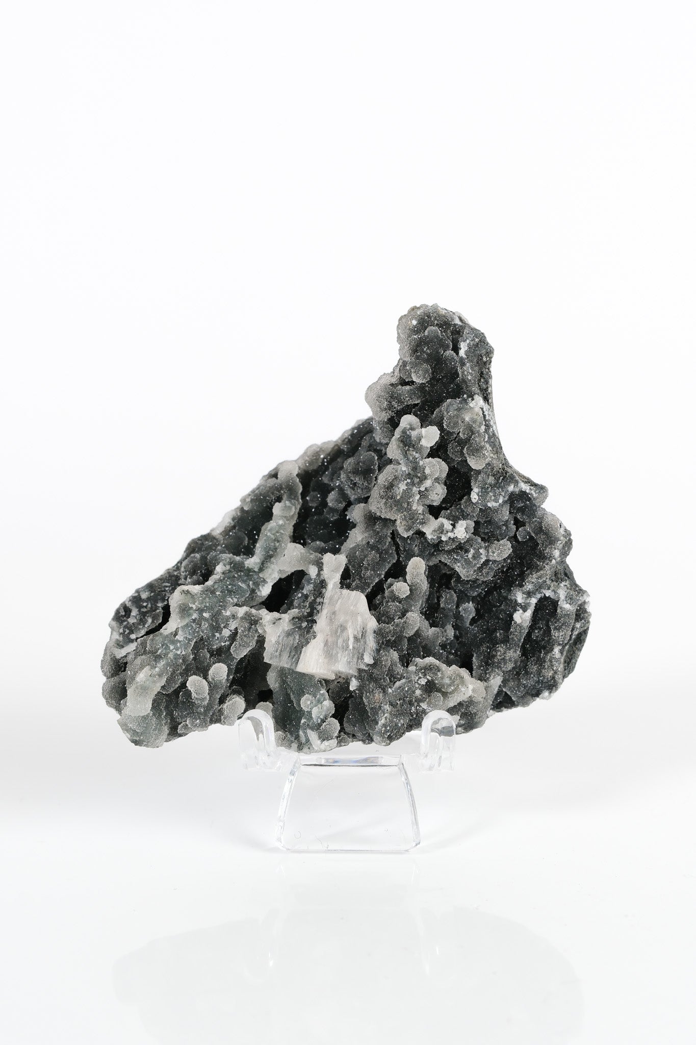 Botryoidal Black Chalcedony Cluster
