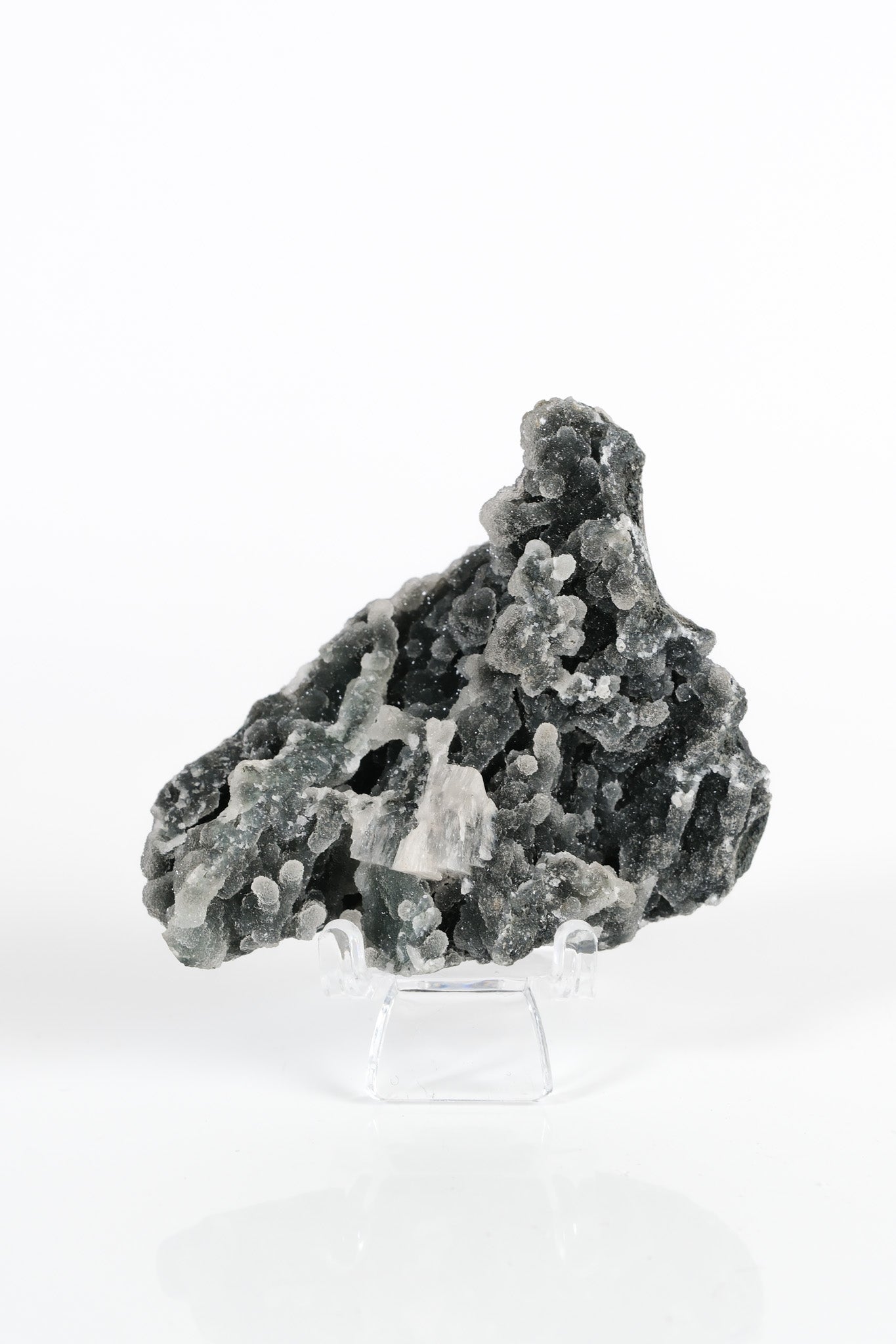 Botryoidal Black Chalcedony Cluster