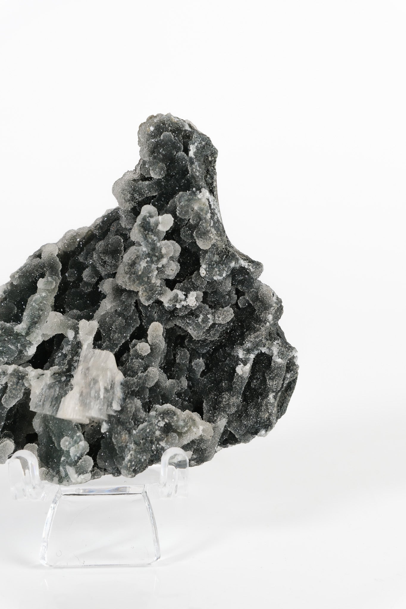 Botryoidal Black Chalcedony Cluster