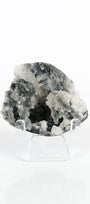 Botryoidal Black Chalcedony Cluster
