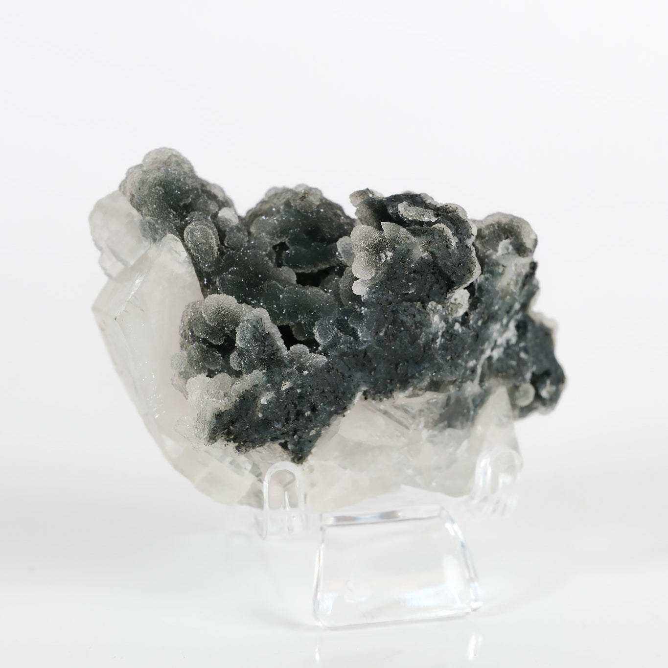 Botryoidal Black Chalcedony Cluster