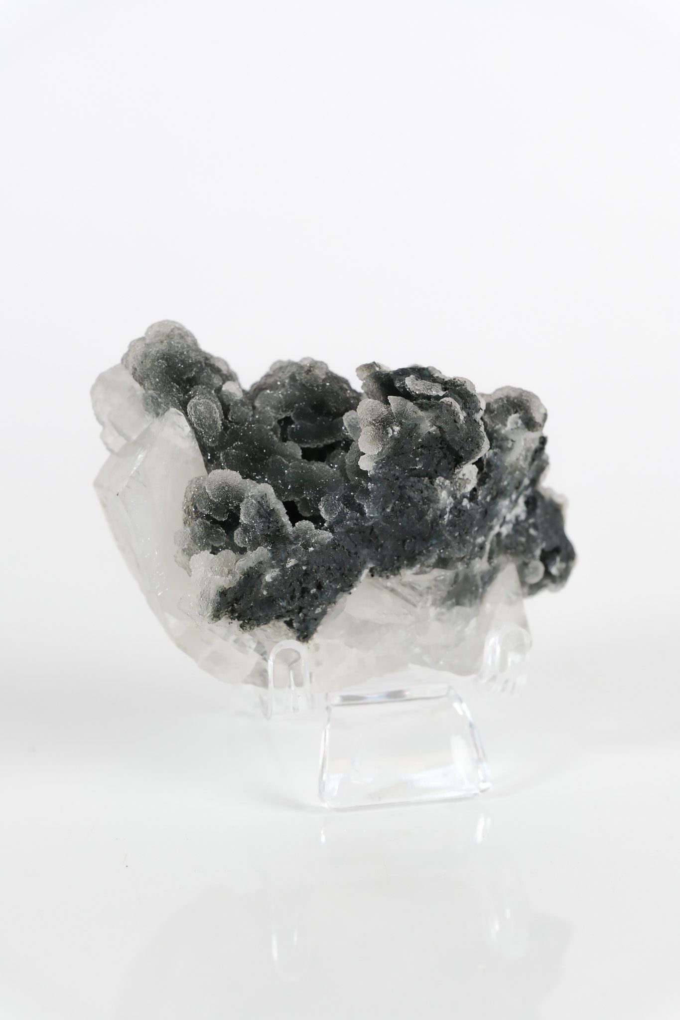 Botryoidal Black Chalcedony Cluster