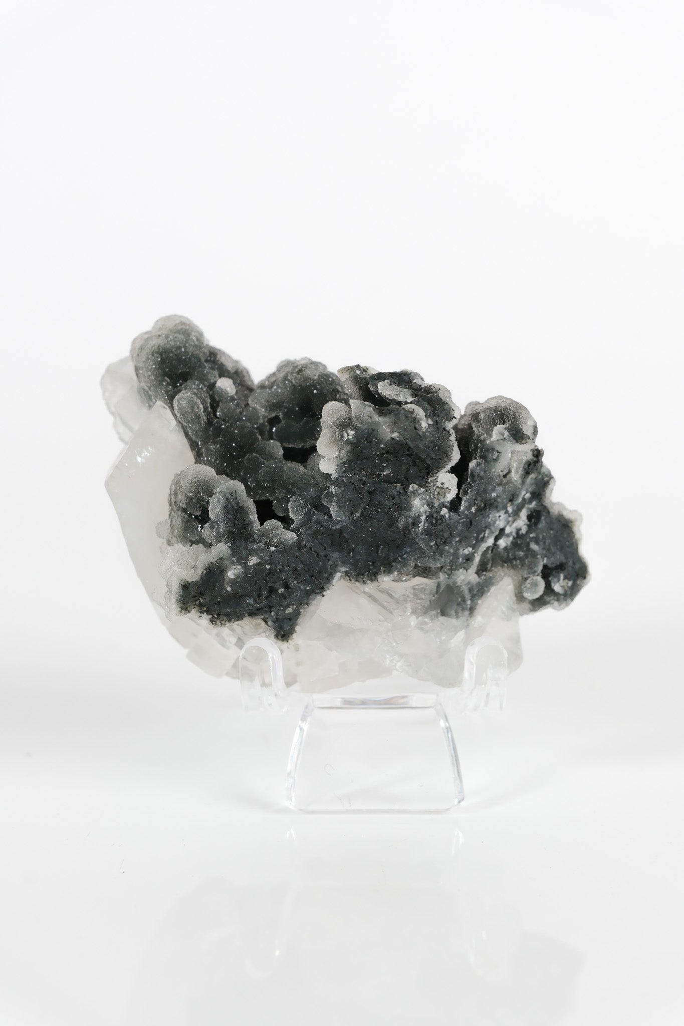 Botryoidal Black Chalcedony Cluster