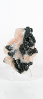 Botryoidal Black Chalcedony With Peach Stilbite Cluster