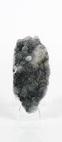 Botryoidal Black Chalcedony Cluster