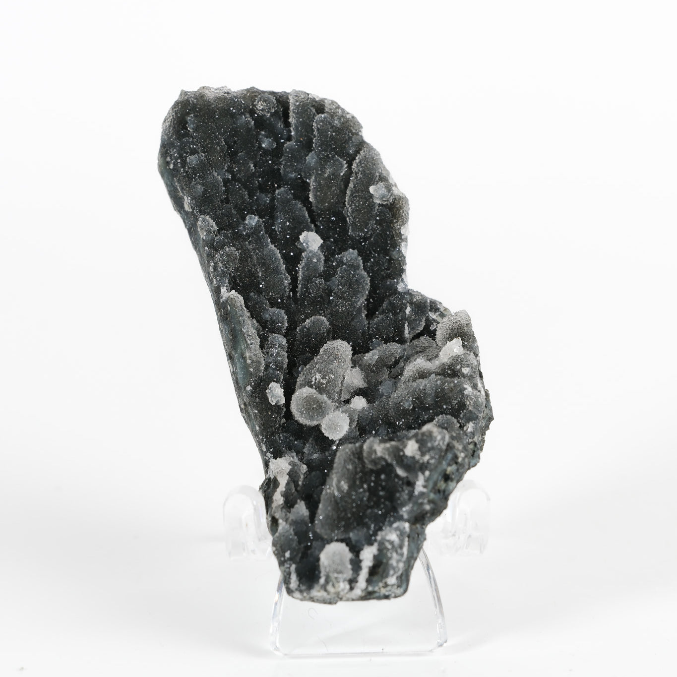 Botryoidal Black Chalcedony Cluster