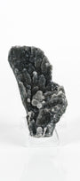 Botryoidal Black Chalcedony Cluster