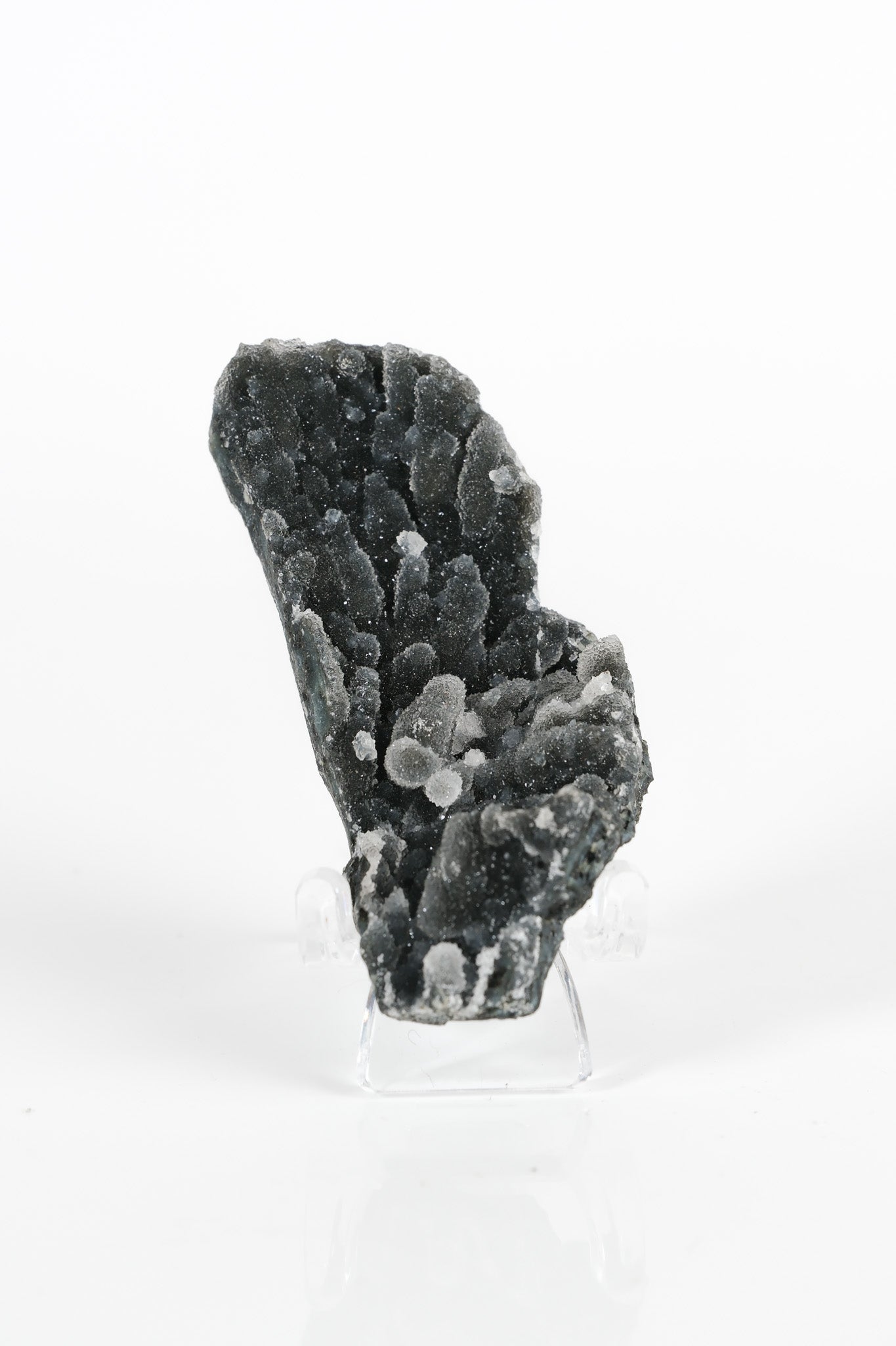 Botryoidal Black Chalcedony Cluster