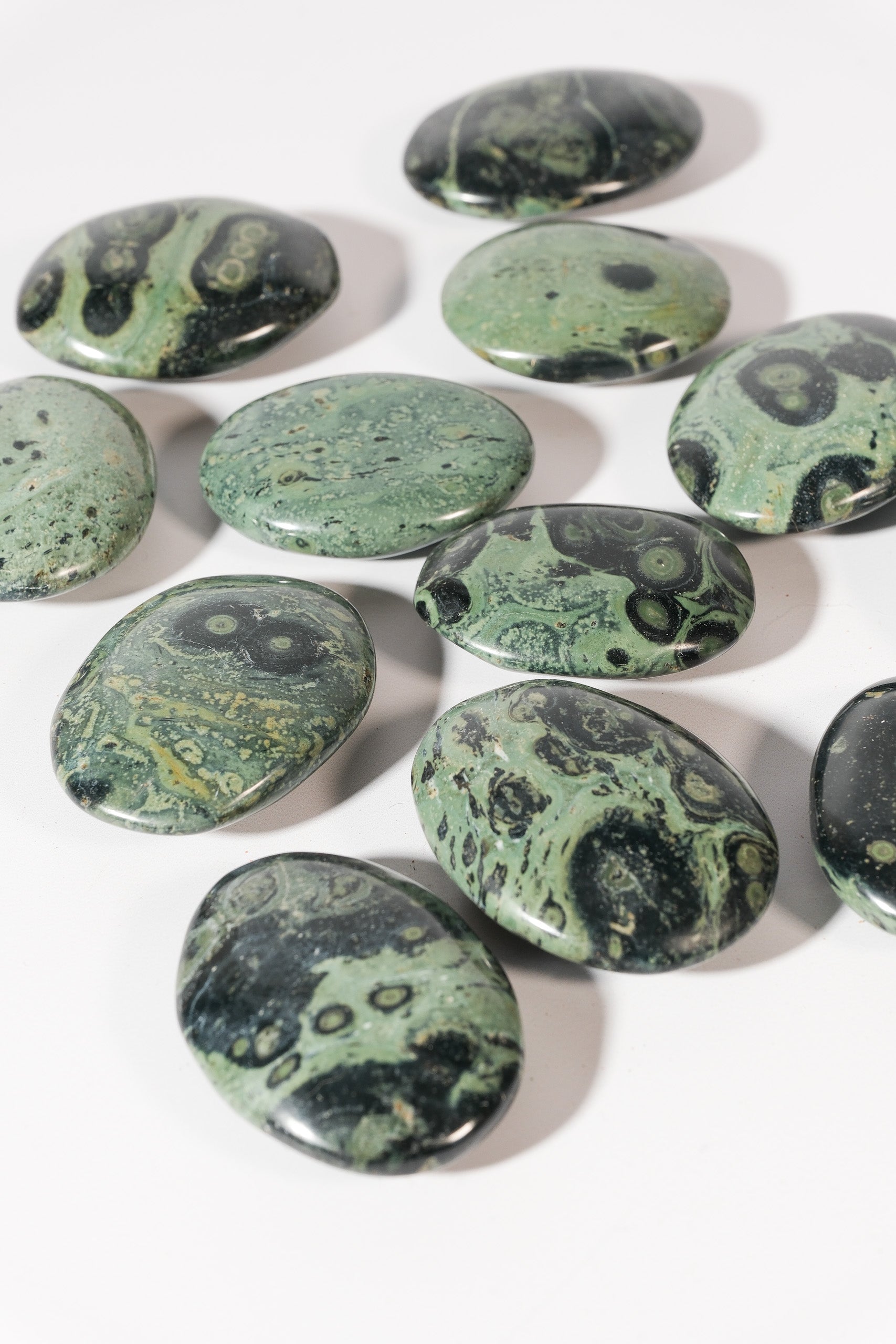 Kambaba Jasper Palmstone