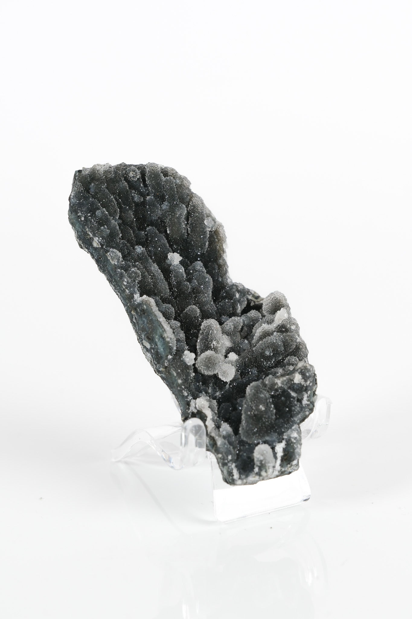 Botryoidal Black Chalcedony Cluster