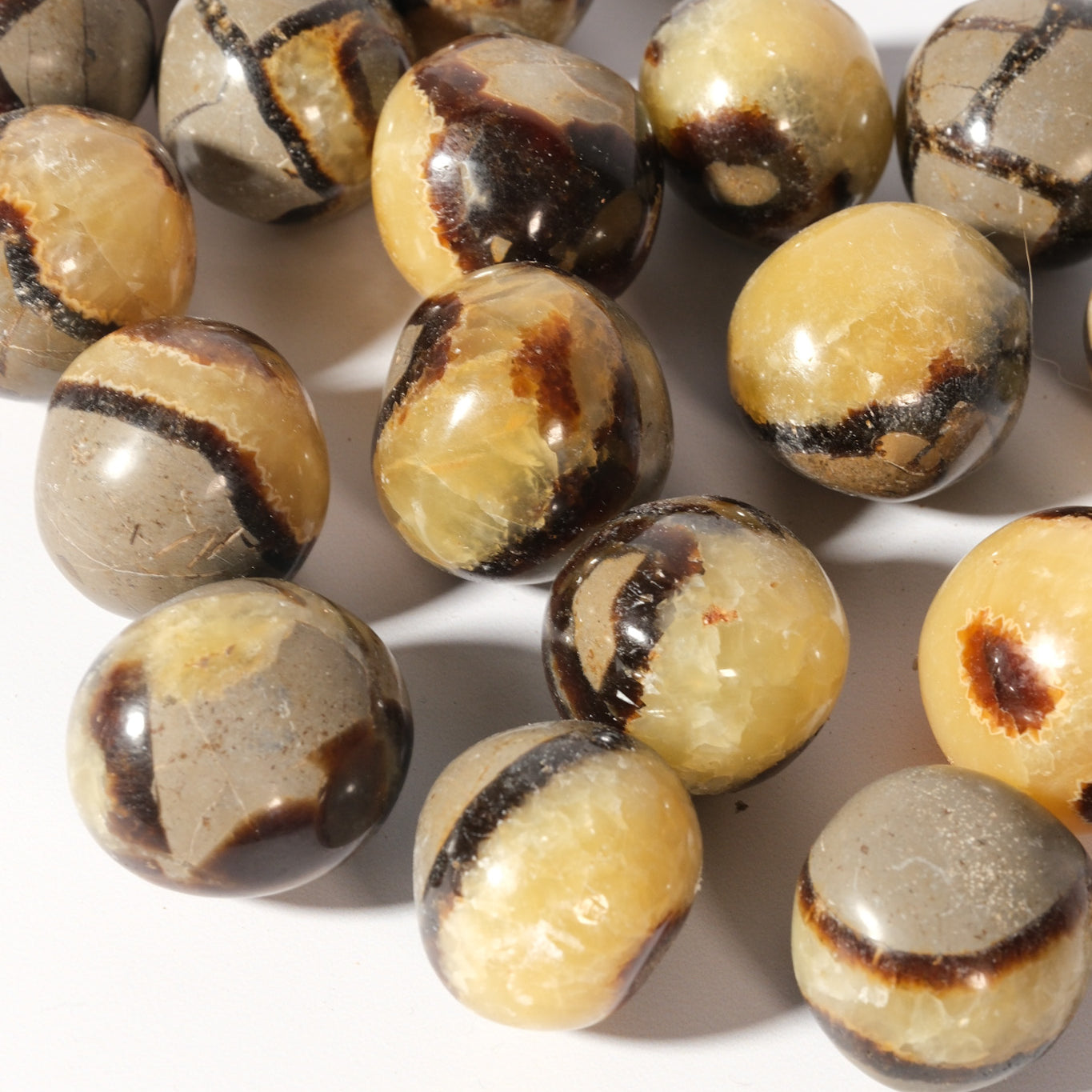 Septarian Jumbo Tumble