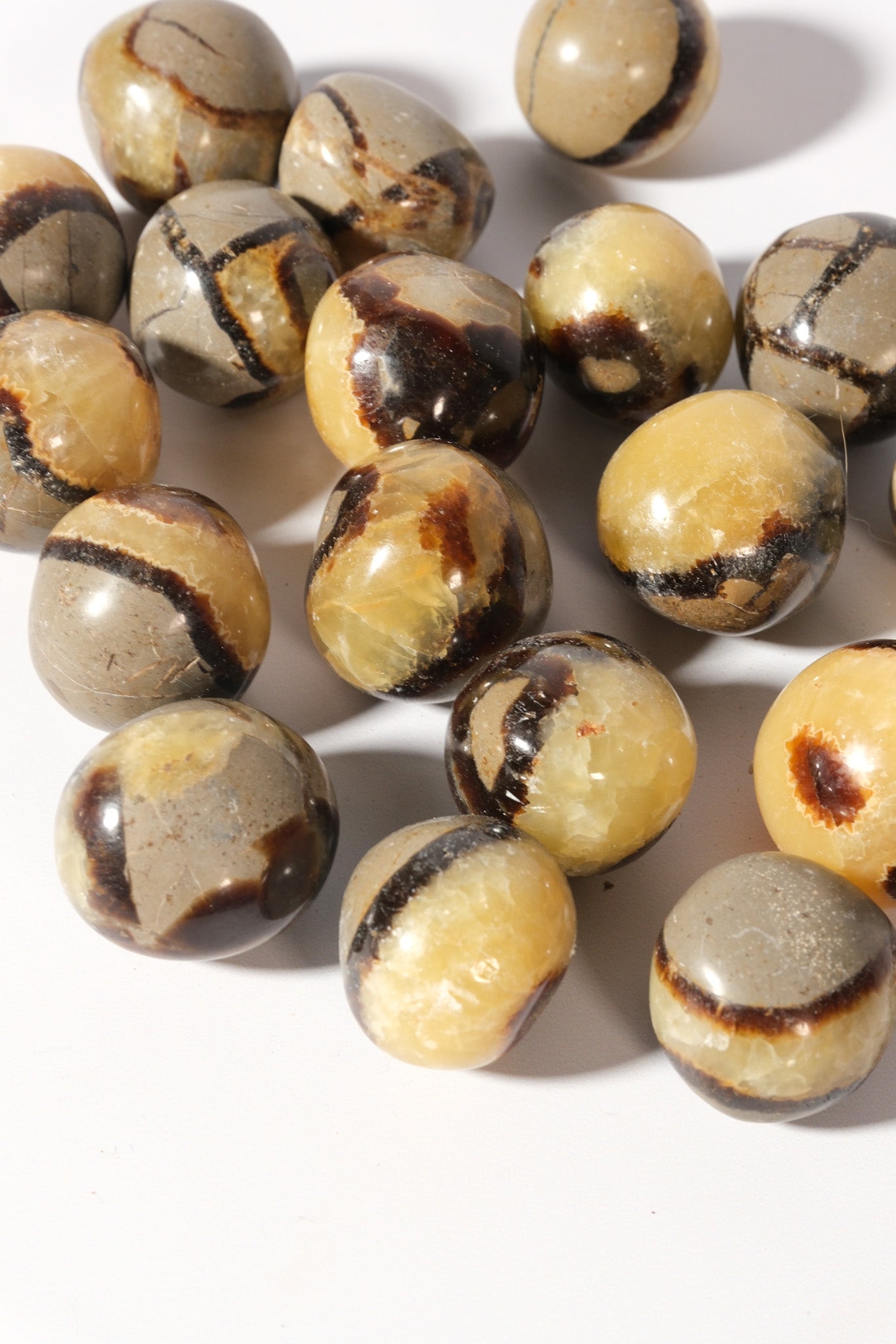 Septarian Jumbo Tumble