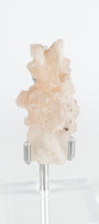 Green Apophyllite with Pink Stilbite & Sugar Druzy Cluster